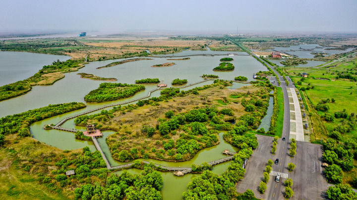 經(jīng)濟(jì)向新 生態(tài)向綠 民生向暖——京冀魯鄂高質(zhì)量發(fā)展一線觀察