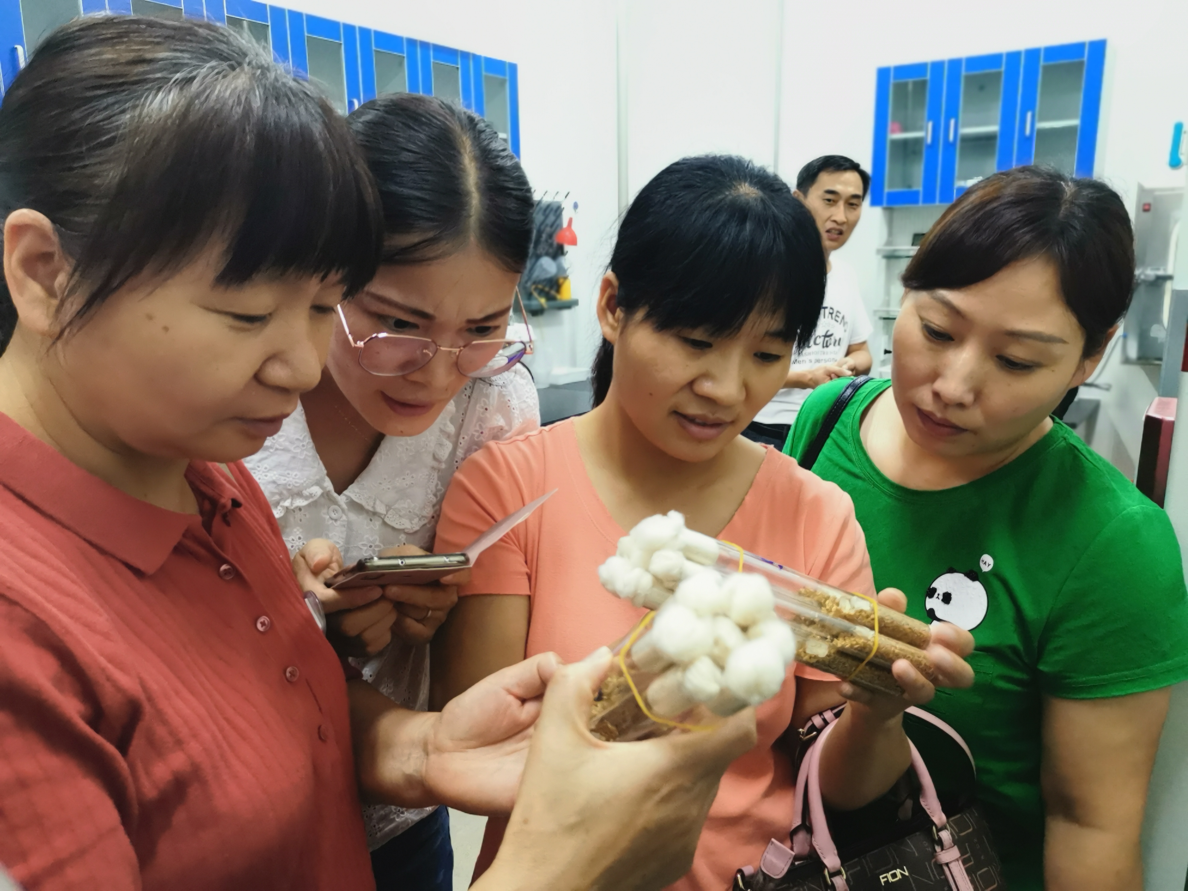 創(chuàng)新河南 創(chuàng)出新彩|從0到1的堅守與突破——河南省食用菌產(chǎn)業(yè)技術(shù)體系發(fā)展歷程回顧