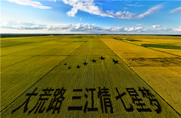 時政微觀察丨東北全面振興的“天時地利人和”