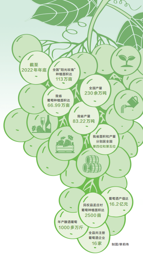 “陽光玫瑰”能否繼續(xù)“陽光燦爛”——一串葡萄引發(fā)的思考