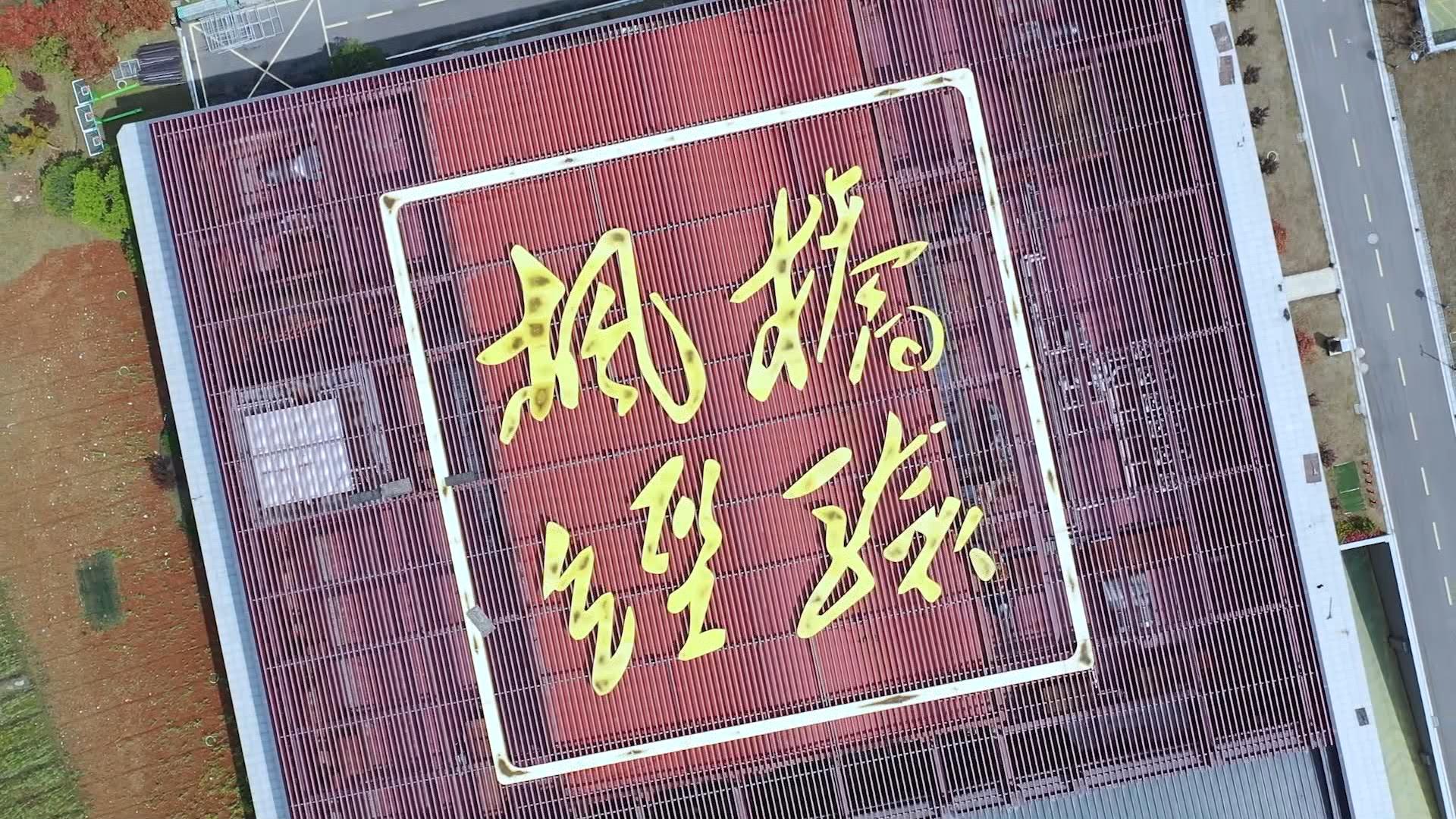 時(shí)政微視頻丨瞰浙江