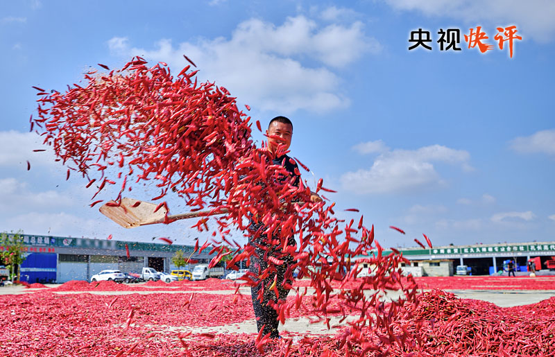 【央視快評】讓農(nóng)民腰包越來越鼓、生活越來越美好——慶祝第六個“中國農(nóng)民豐收節(jié)”