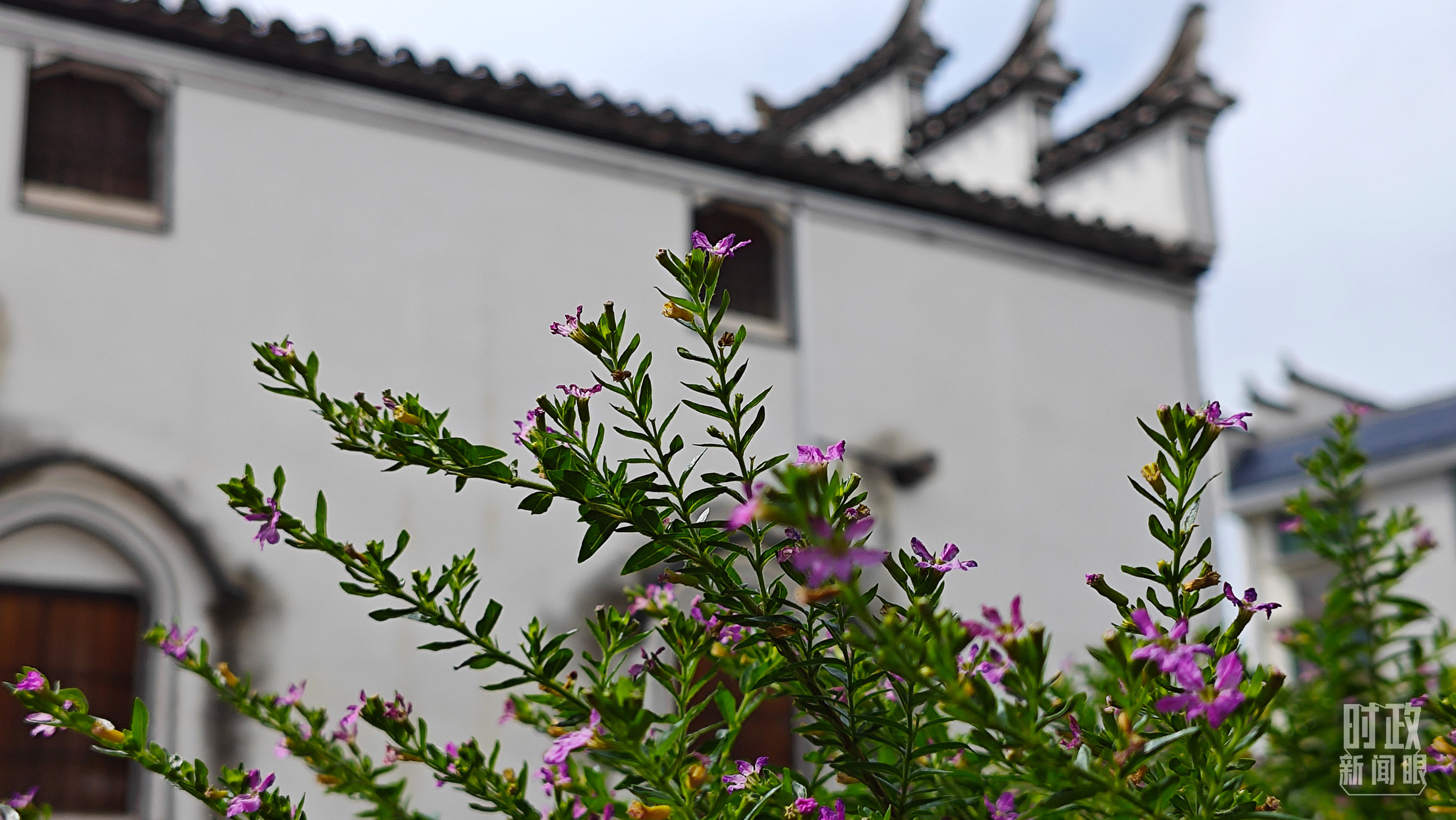 時(shí)政新聞眼丨從浙江到山東棗莊，習(xí)近平這一次考察重點(diǎn)強(qiáng)調(diào)了什么？