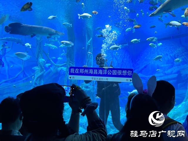 駐馬店多家旅行社負(fù)責(zé)人赴鄭州海昌海洋旅游度假區(qū)進(jìn)行踩線活動(dòng)