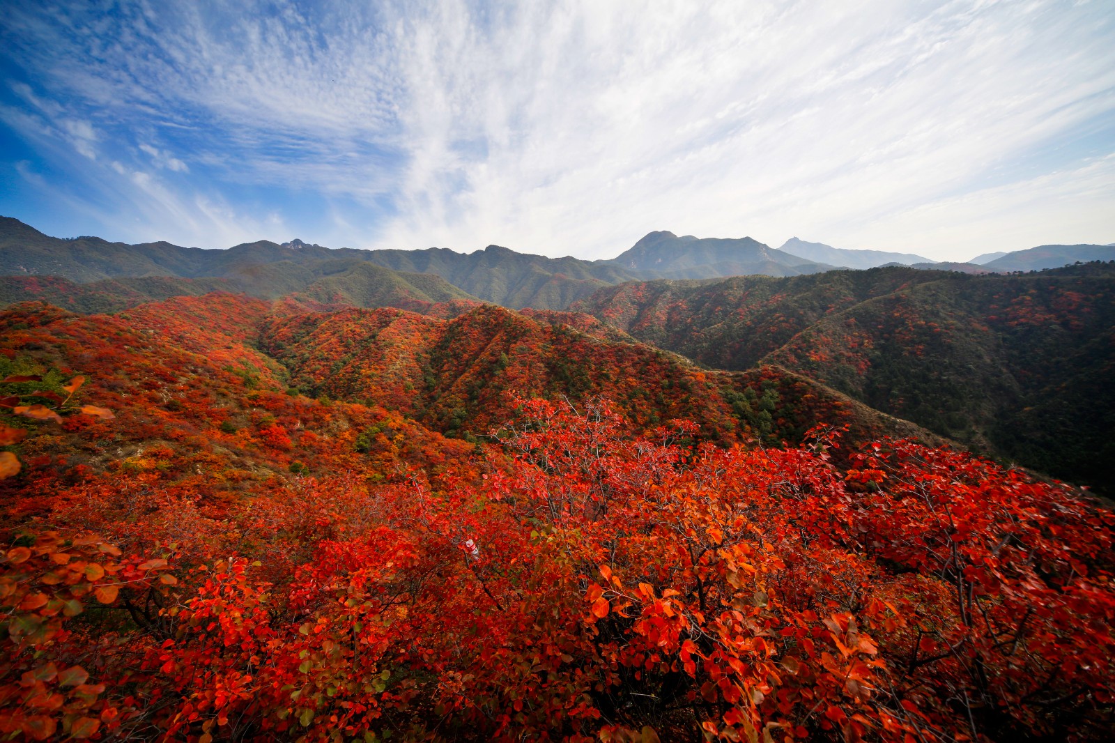 主打仙境漫游，神仙旅游地濟(jì)源的初秋攻略請(qǐng)查收 | 國(guó)慶漫游Citywalk