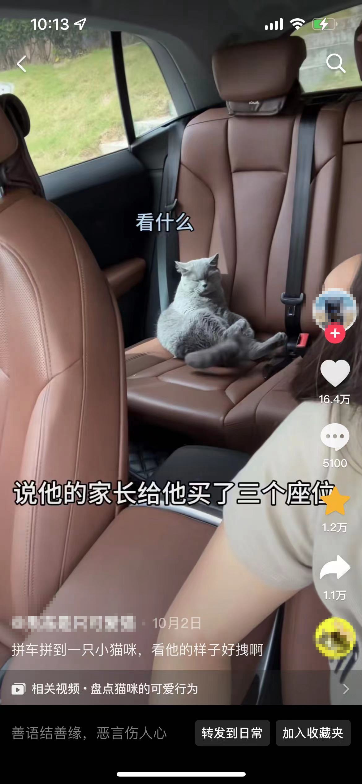 順風車亂象：起猛了，拼車拼到狗子