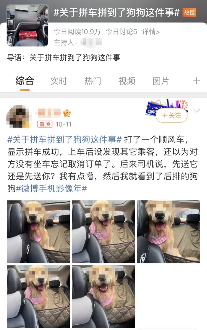 順風車亂象：起猛了，拼車拼到狗子