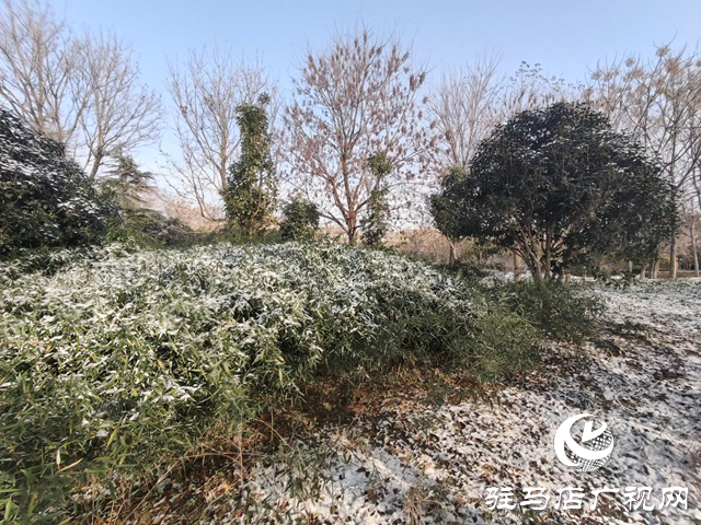 新蔡縣：“五湖四帶”披銀裝 雪中風(fēng)景美如畫(huà)