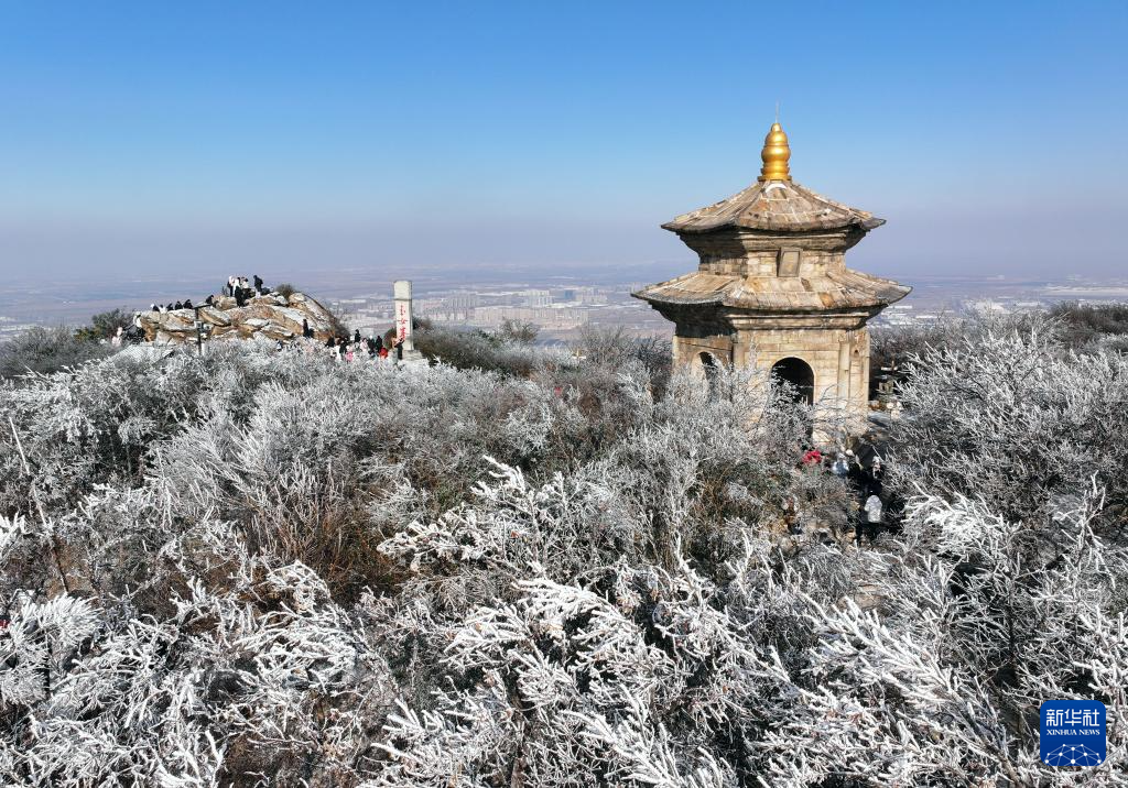 詩(shī)意中國(guó)丨不知庭霰今朝落，疑是林花昨夜開(kāi)