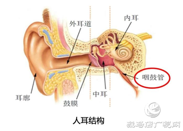 流感季感冒高發(fā)期 小心引起急性中耳炎