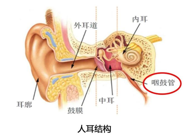 流感季感冒高發(fā)期 謹防急性中耳炎