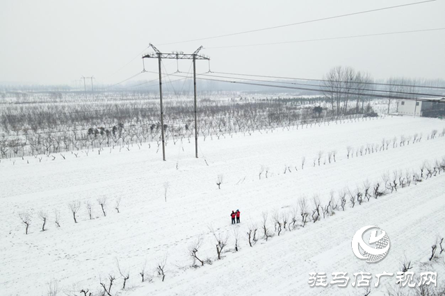 國網(wǎng)平輿縣供電公司：戰(zhàn)風(fēng)雪 破堅冰 打贏春節(jié)保電攻堅戰(zhàn)