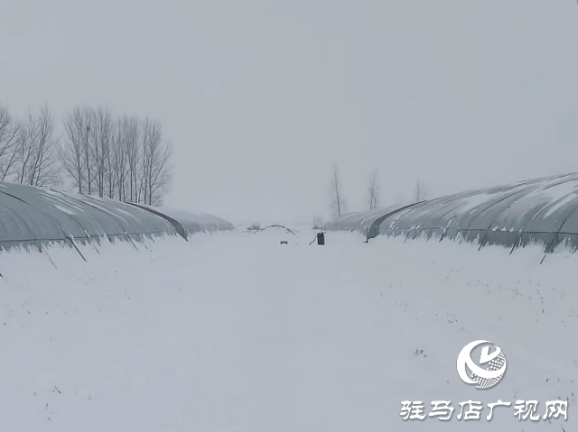 無(wú)人機(jī)助力農(nóng)業(yè)大棚除雪