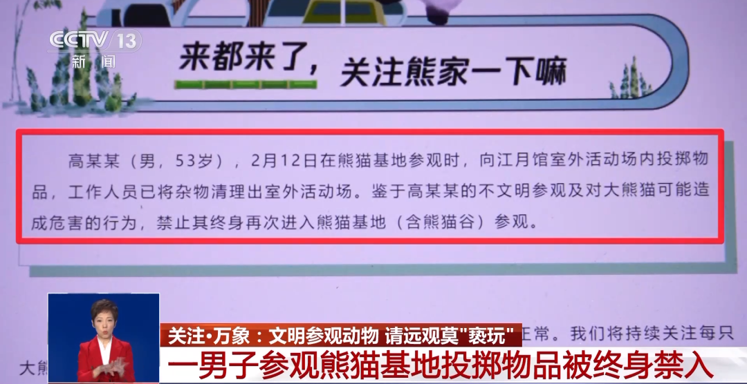 又有游客被終身禁入，為什么不能隨意投喂大熊貓？