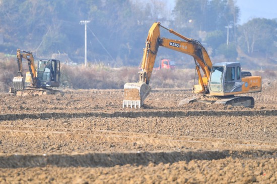 今年財政將加力補助高標準農(nóng)田建設