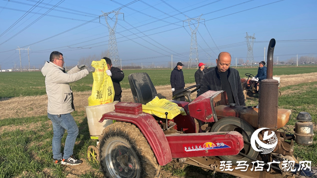 雨雪寒潮來(lái)臨 專家提醒：麥田趁雪追肥 促弱轉(zhuǎn)壯奪豐收