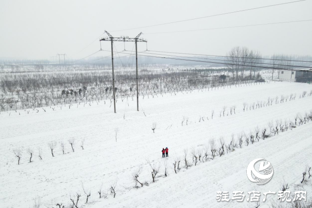 國(guó)網(wǎng)平輿縣供電公司：踏雪破冰護(hù)電網(wǎng)  寒潮逆行保民生