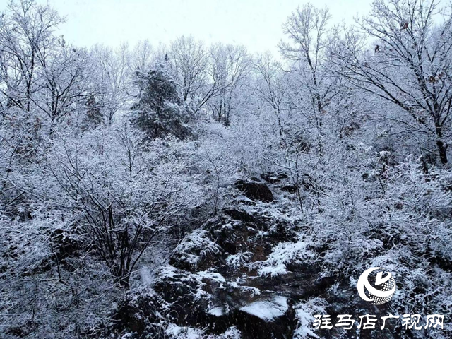 大雪來襲! 駐馬店市多個(gè)景區(qū)臨時(shí)關(guān)閉