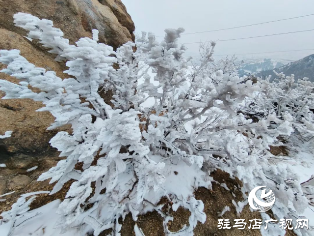 美呆了！羅漢山開啟雪凇、霧凇雙景齊現(xiàn)模式