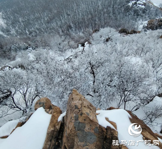 美呆了！羅漢山開啟雪凇、霧凇雙景齊現(xiàn)模式