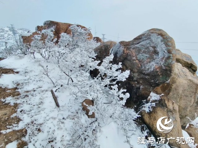 美呆了！羅漢山開啟雪凇、霧凇雙景齊現(xiàn)模式