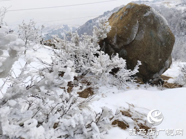 美呆了！羅漢山開啟雪凇、霧凇雙景齊現(xiàn)模式