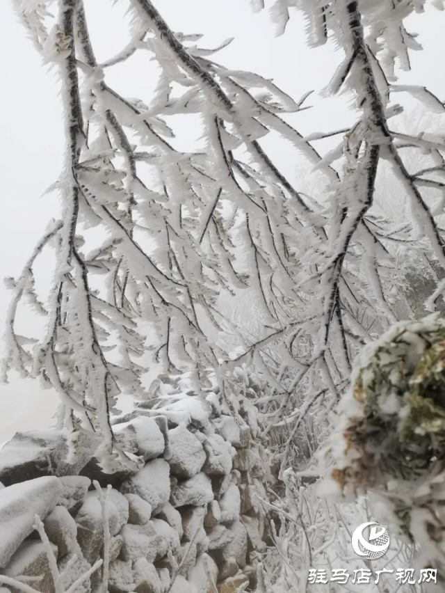 美呆了！羅漢山開啟雪凇、霧凇雙景齊現(xiàn)模式