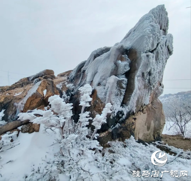 美呆了！羅漢山開啟雪凇、霧凇雙景齊現(xiàn)模式