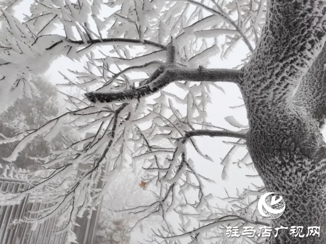 美呆了！羅漢山開啟雪凇、霧凇雙景齊現(xiàn)模式