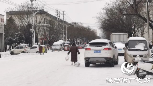 2024年后這場大雪你滑雪了嗎?快來看看各種各樣的滑雪模式！