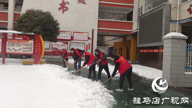 駐馬店市驛城區(qū)開展清雪除冰志愿服務(wù)活動