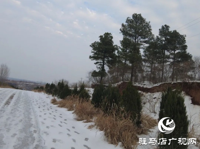 盤古山：晨起開門雪滿山 雪晴云淡日光寒