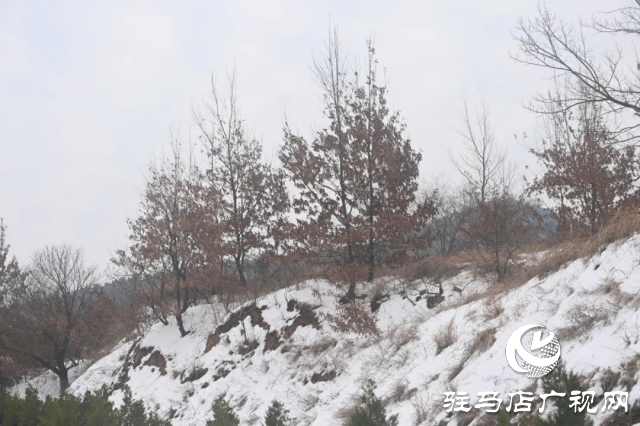 盤古山：晨起開門雪滿山 雪晴云淡日光寒