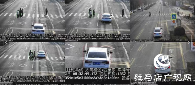 曝光臺：我市機(jī)動車不禮讓行人曝光