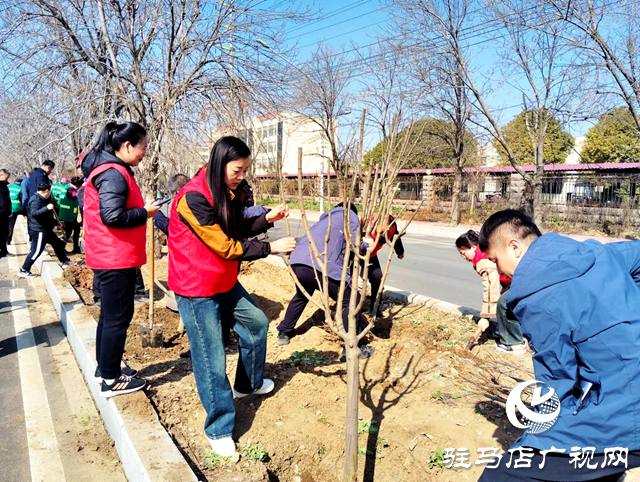 西平縣城管局園林綠化中心：春光無限好植樹正當(dāng)時(shí)