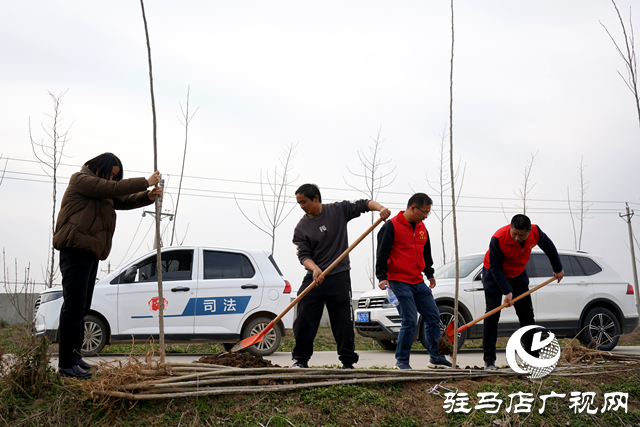 新蔡縣河塢鄉(xiāng)：植樹添新綠 鄉(xiāng)村“靚”起來(lái)