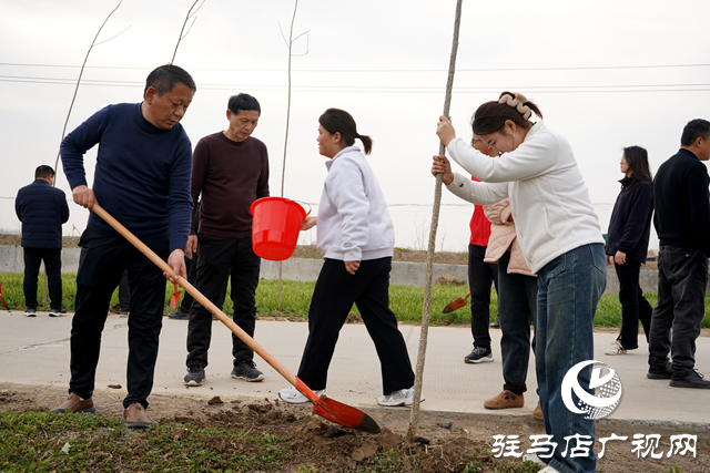 新蔡縣河塢鄉(xiāng)：植樹添新綠 鄉(xiāng)村“靚”起來(lái)