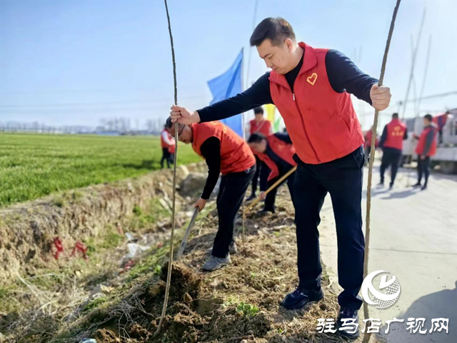 驛城區(qū)水屯鎮(zhèn)開展志愿植樹活動