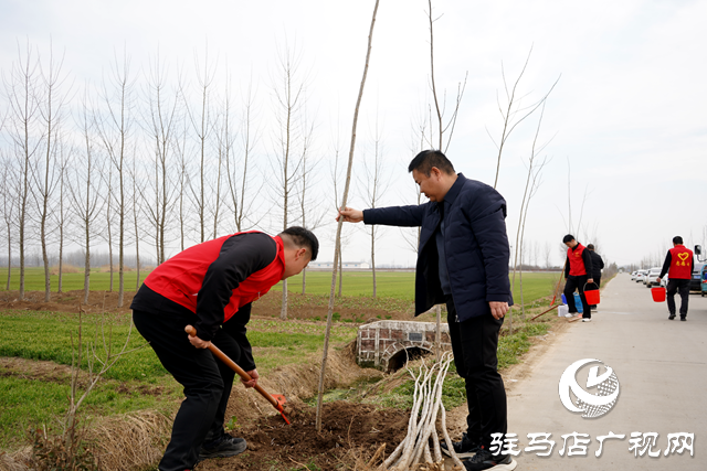 新蔡縣河塢鄉(xiāng)：植樹添新綠 鄉(xiāng)村“靚”起來(lái)