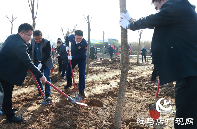 驛城區(qū)：植樹添新綠 不負(fù)好春光