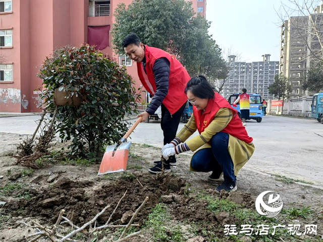 駐馬店市郵政分公司團(tuán)委組織開展植樹活動(dòng)