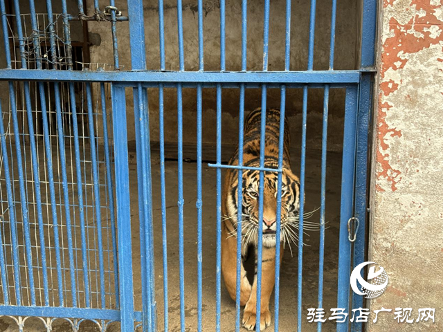 駐馬店市南海動(dòng)物園：承載幾代人的美好回憶