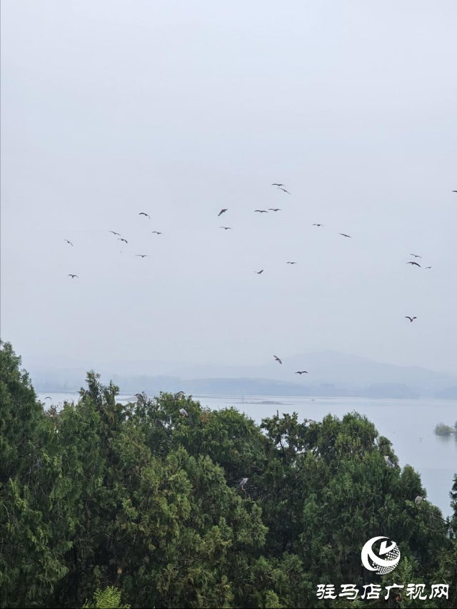 銅山湖：飛鳥成群景色宜人