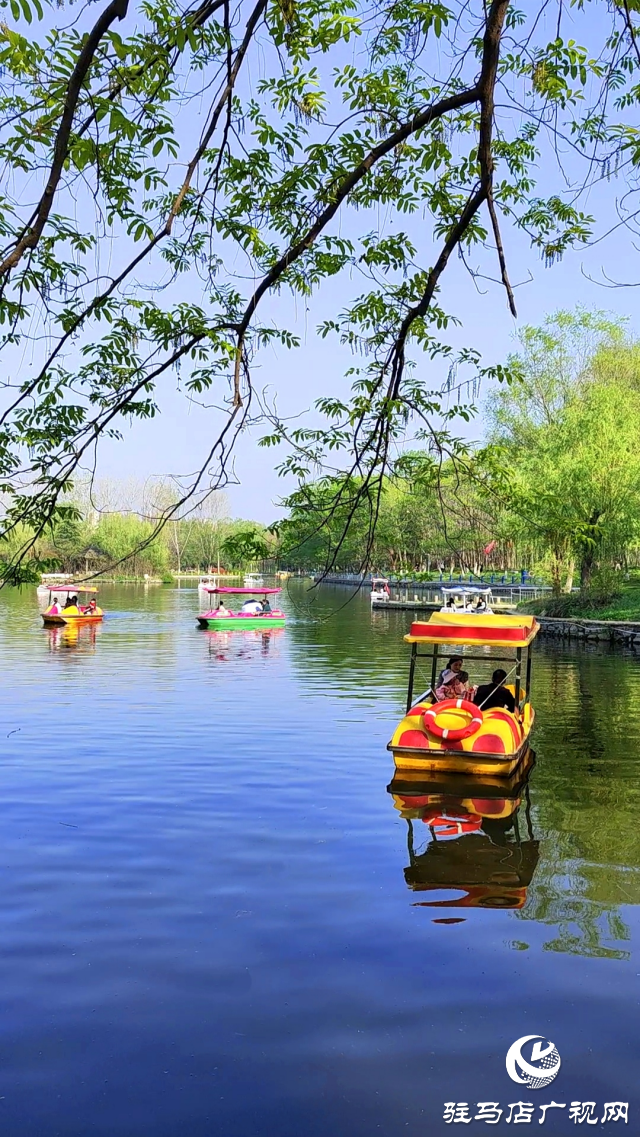 駐馬店：置地公園環(huán)境美如畫(huà) 市民愜意休閑園中游