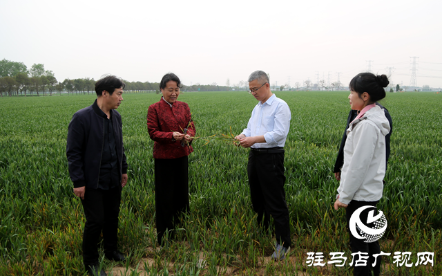 河南省“新時(shí)代宣講師”志愿服務(wù)活動助力西平縣鄉(xiāng)村振興