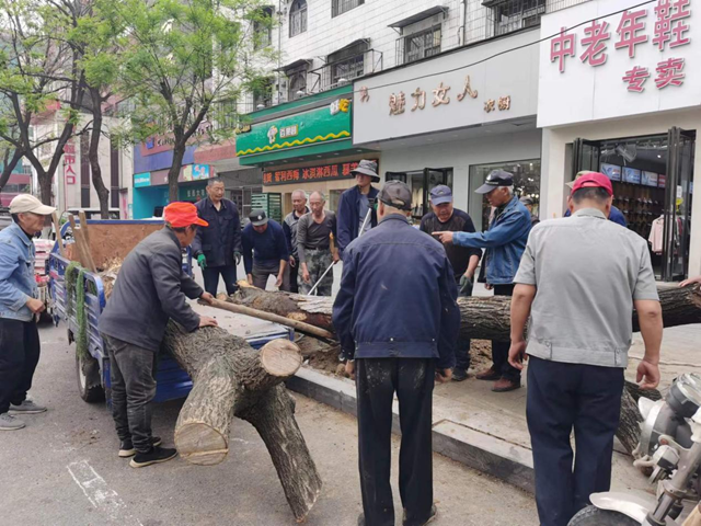 駐馬店市園林綠化處開展死樹枯枝集中清理行動