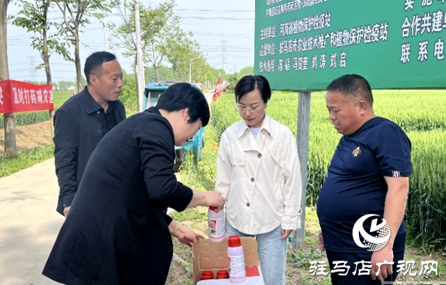 平輿縣2024年小麥“一噴三防” 暨重大病蟲害統(tǒng)防統(tǒng)治現(xiàn)場會舉行