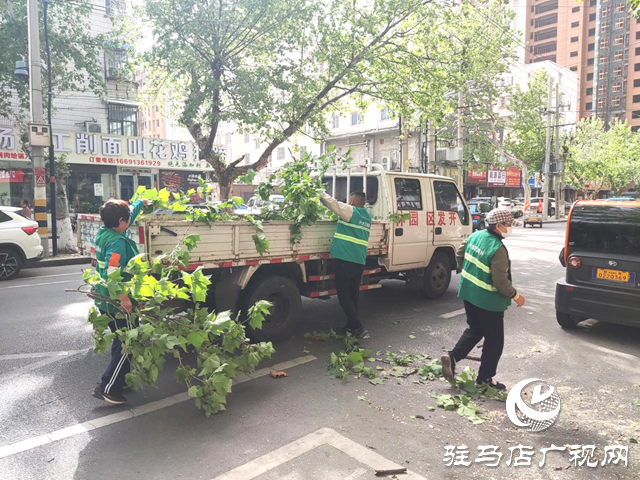 駐馬店經濟開發(fā)區(qū)：及時處置樹木斷枝 構造綠色安全防線