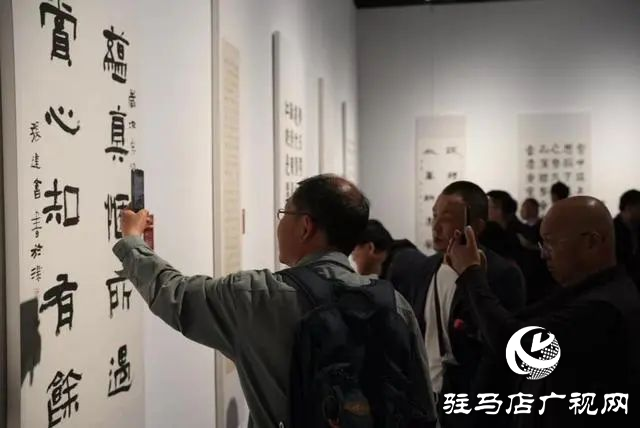 泌陽縣書法家協(xié)會會員齊聚，共賞全國第十三屆書法篆刻展