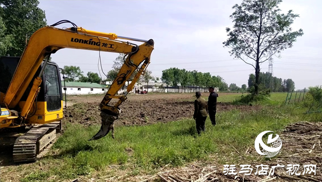 確山縣朗陵街道：土地復(fù)耕動真格